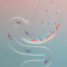 Lade das Bild in den Galerie-Viewer, Pylomed Akut®